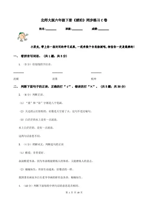 北师大版六年级下册《琥珀》同步练习C卷