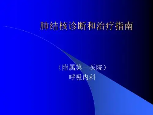 肺结核诊断和治疗指南2-PPT精选文档