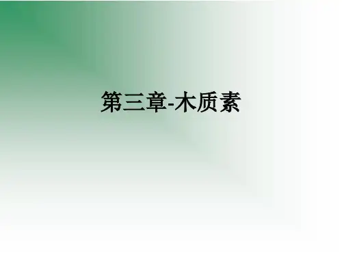 第三章-木质素ppt课件