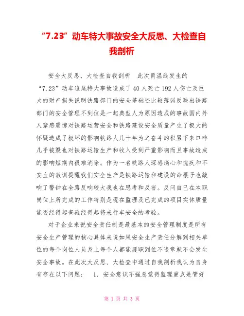 “7.23”动车特大事故安全大反思、大检查自我剖析