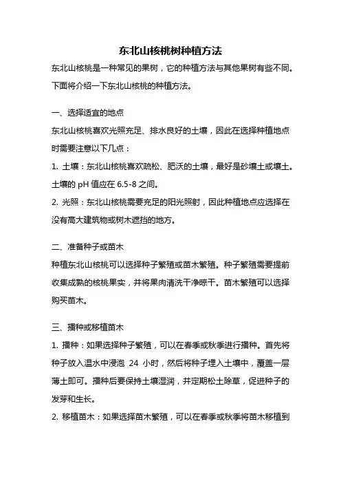 东北山核桃树种植方法