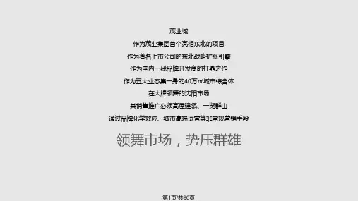 沈阳茂业中心项目提案PPT课件
