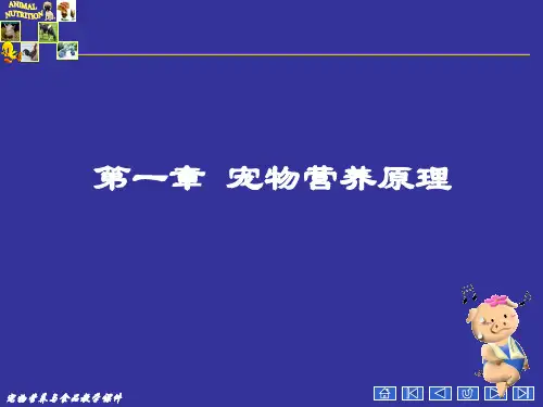 宠物营养原理