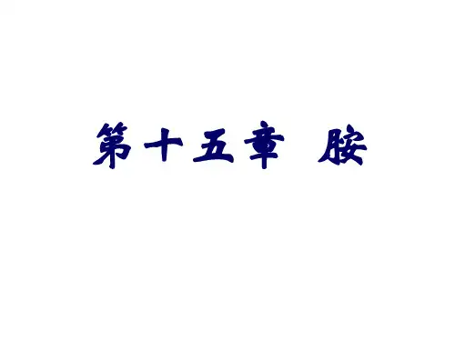 第15章 胺