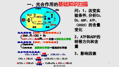 高考二轮复习光合作用与呼吸作用专题PPT课件