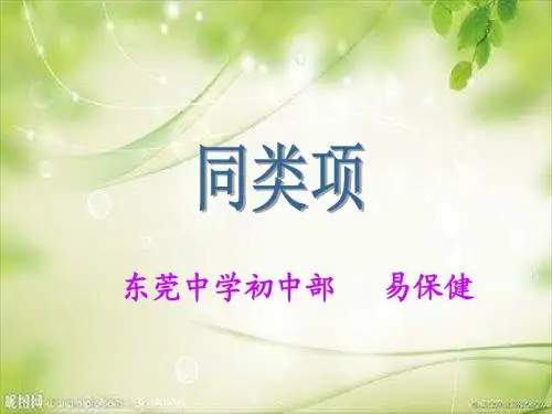 同类项ppt