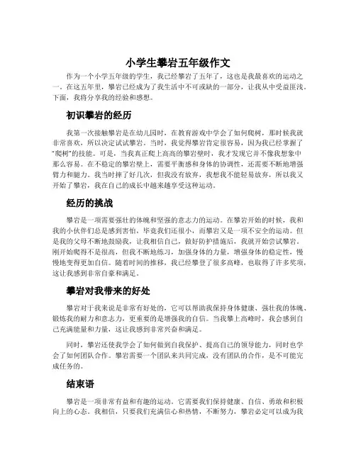 小学生攀岩五年级作文
