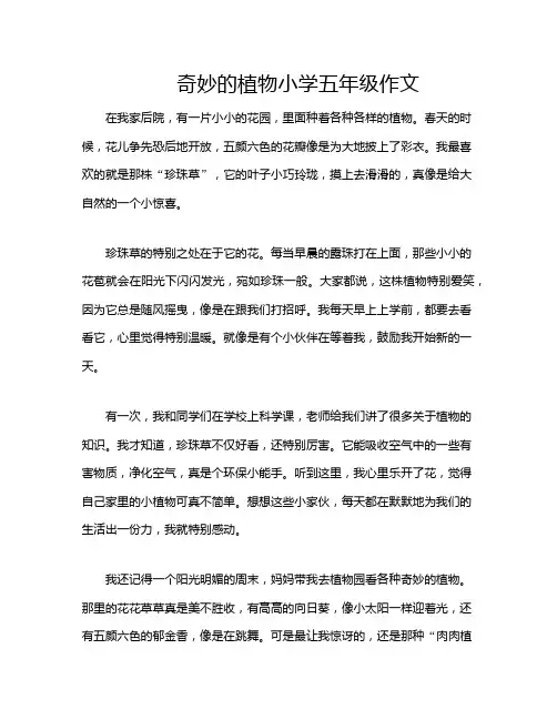 奇妙的植物小学五年级作文
