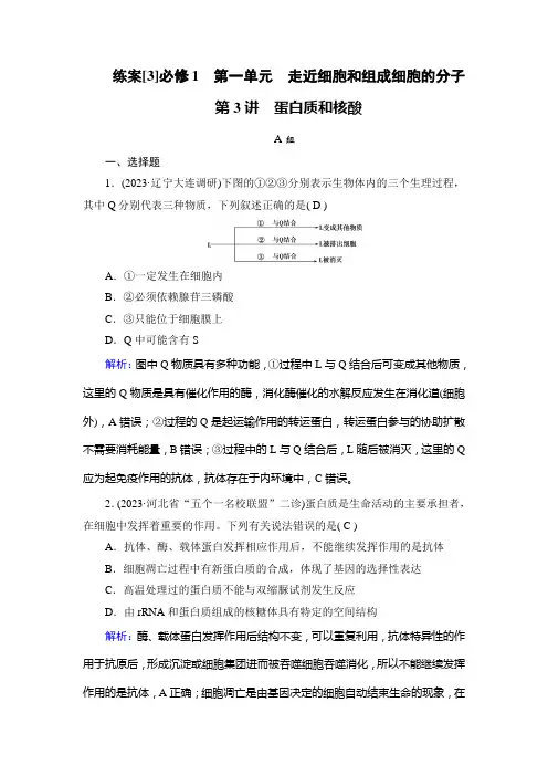 2023年高考生物一轮考点复习必修1第一单元第3讲蛋白质和核酸