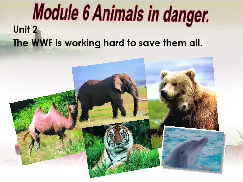 外研社八年级英语上Module6 Animals in danger-Unit2教研课 PPT