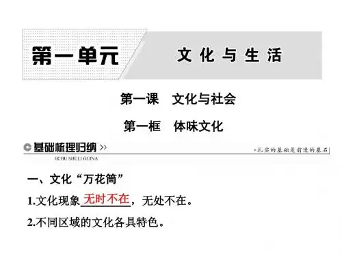 高中政治人教版必修3课件：第一单元 第一课 第一框 体味文化
