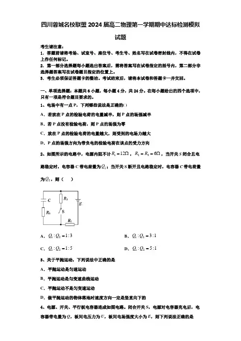 四川蓉城名校联盟2024届高二物理第一学期期中达标检测模拟试题含解析
