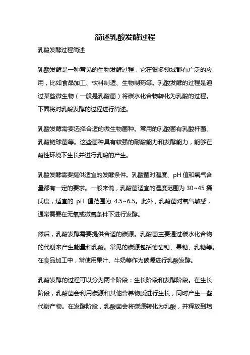 简述乳酸发酵过程