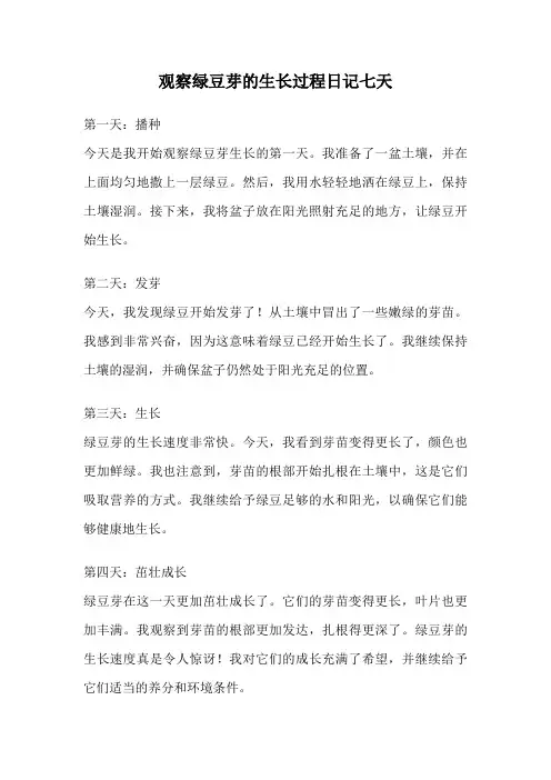 观察绿豆芽的生长过程日记七天