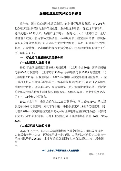 船舶制造业风险分析报告