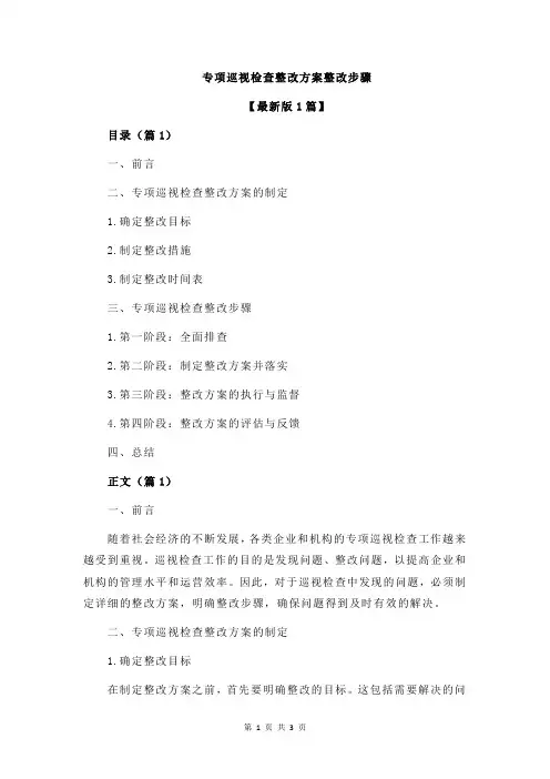 专项巡视检查整改方案整改步骤