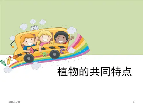 小学三年级上册科学《植物的共同特点》植物PPT优质课件