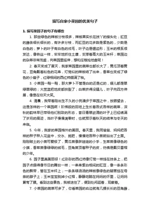 描写自家小菜园的优美句子