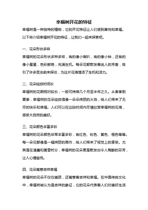幸福树开花的特征