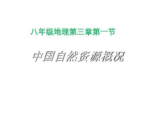 八年级地理上册3.1自然资源概况课件(新版)湘教版