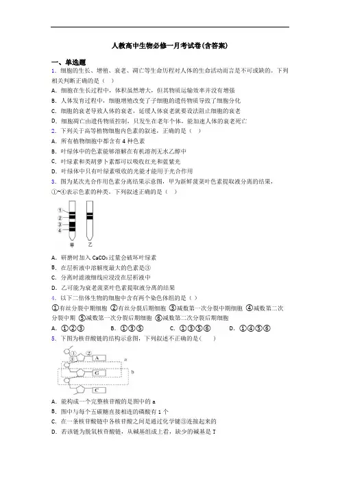 人教高中生物必修一月考试卷(含答案)
