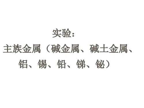 实验二十主族金属（碱金属、碱土金属、铝、锡、铅、锑、铋）