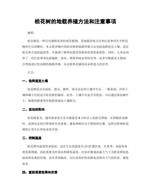 桂花树的地载养殖方法和注意事项