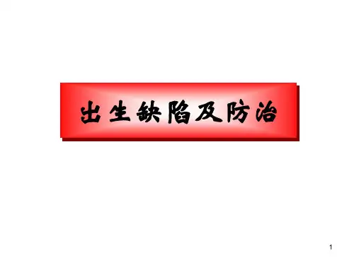 出生缺陷及防治PPT课件