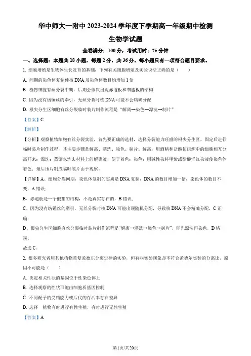 湖北省武汉市华中师范大学第一附属中学2023-2024学年高一下学期期中生物试题含解析