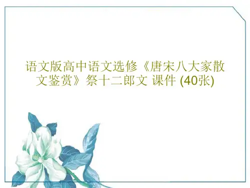 语文版高中语文选修《唐宋八大家散文鉴赏》祭十二郎文 课件 (40张)PPT共38页