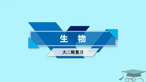 2020届高考生物大二轮复习 专题三 细胞内的酶与ATP复习指导课件