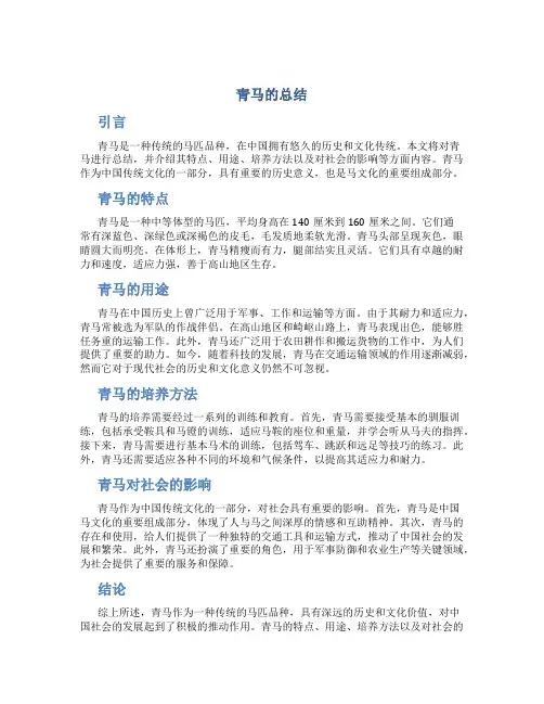 青马的总结