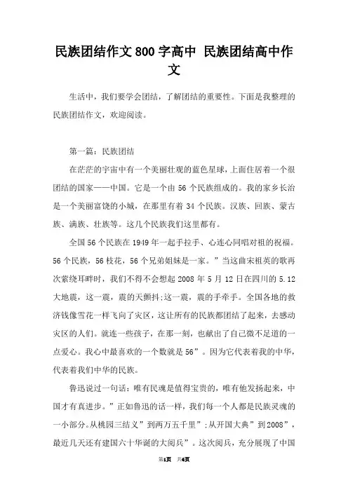 民族团结作文800字高中 民族团结高中作文