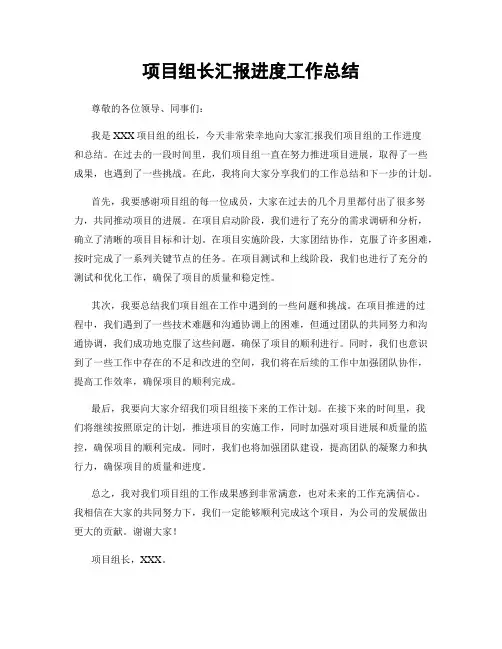 项目组长汇报进度工作总结