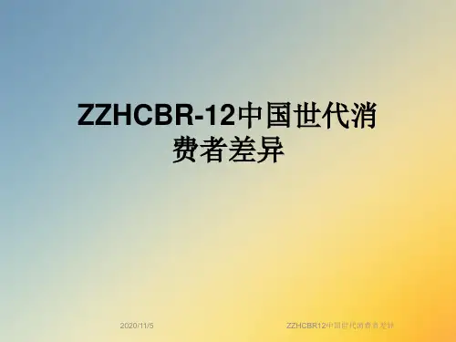 ZZHCBR12中国世代消费者差异