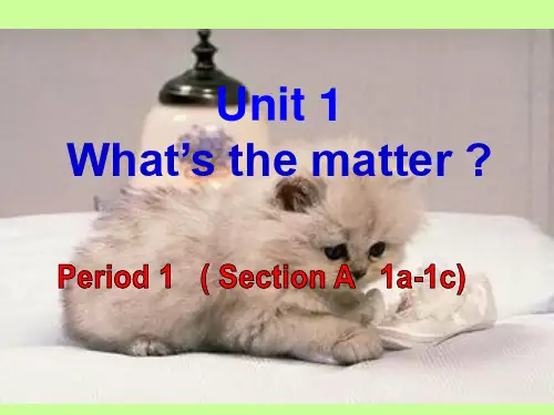 人教版八年级英语下册unit1 section A 1a-1c课件(共24张PPT)