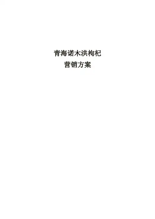诺木洪枸杞市场营销策划方案