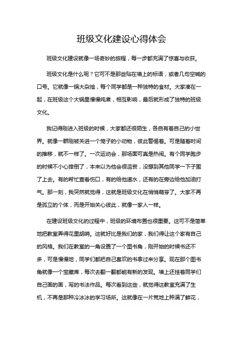 班级文化建设心得体会