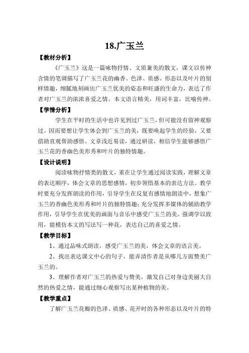 孙鹏-广玉兰1