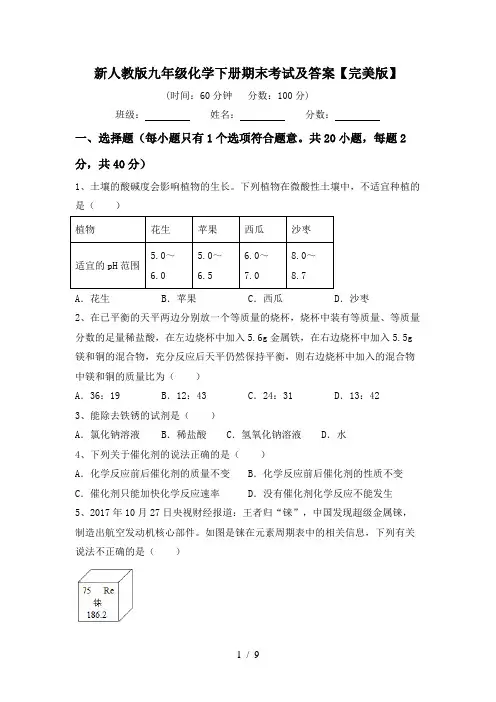 新人教版九年级化学下册期末考试及答案【完美版】