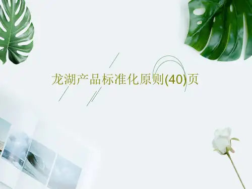龙湖产品标准化原则(40)页42页PPT