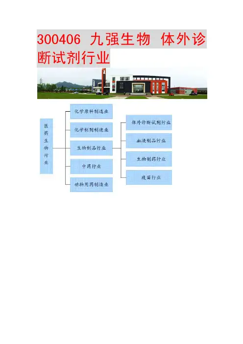 300406九强生物体外诊断试剂行业