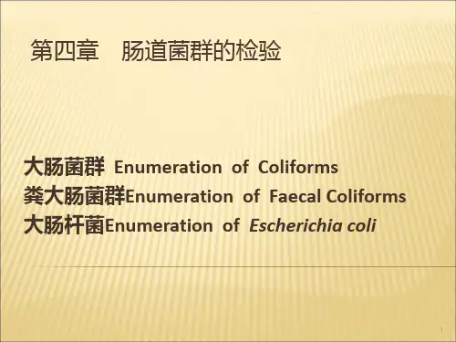 第四章肠道菌群的PPT课件