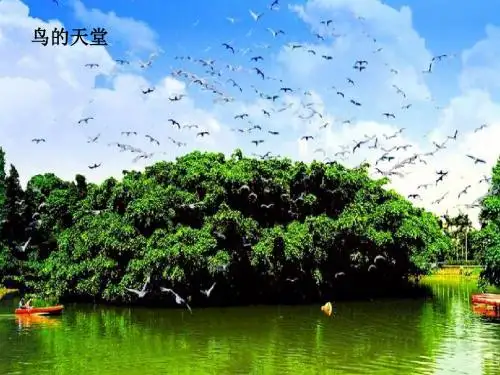 《五彩池》教学PPT课件