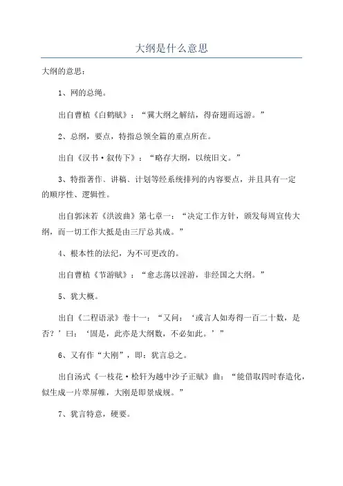 大纲是什么意思