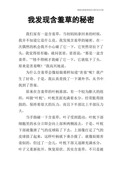 我发现含羞草的秘密