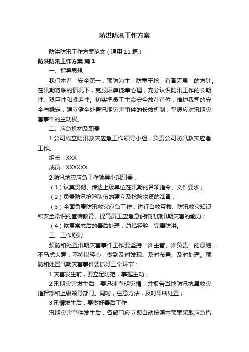 防洪防汛工作方案