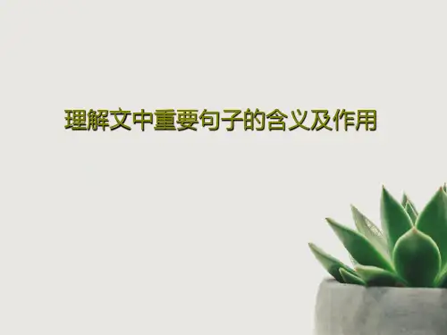 理解文中重要句子的含义及作用共20页