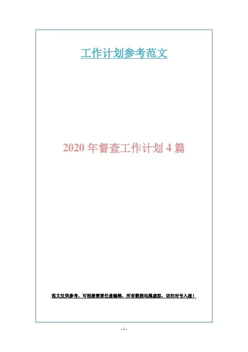 2020年督查工作计划4篇
