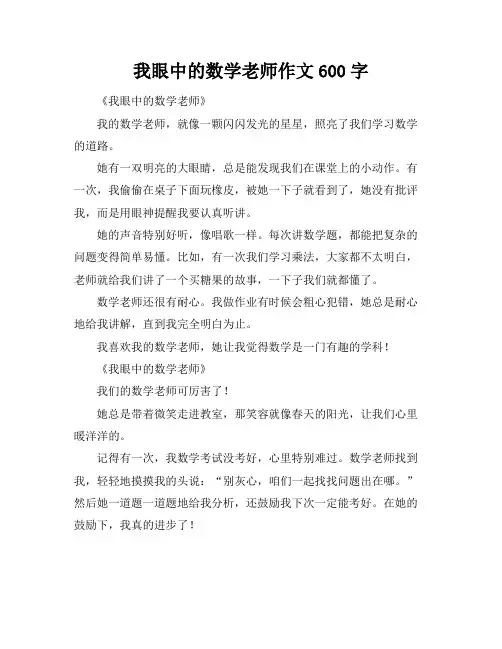 我眼中的数学老师作文600字